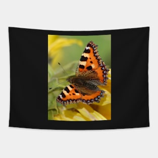 Small Tortoiseshell Tapestry