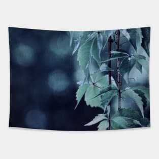 Indigo Evening Tapestry