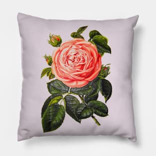 rosebud with green leaves Pillow