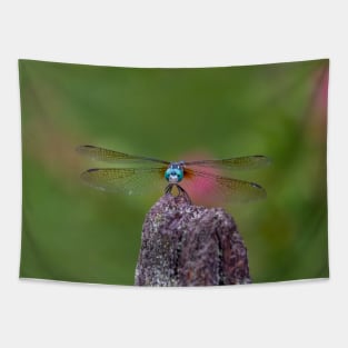 Smiling Dragonfly with Big Blue Eyes and Lacy Wings Tapestry