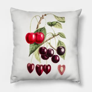 Hand drawn cherry Pillow