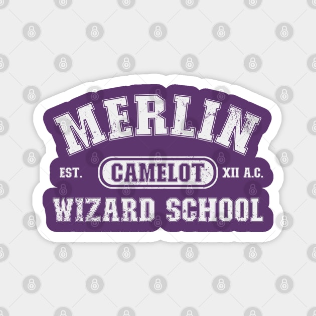 Merlin School Magnet by nickbeta