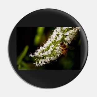 Honey Factory Pin