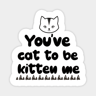 Cat Sayings Magnet