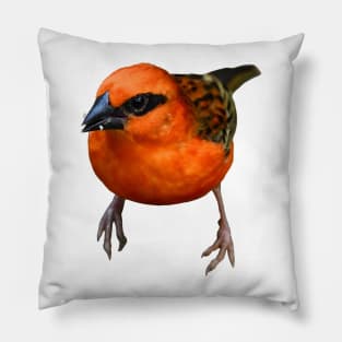 Little red bird / Swiss Artwork Photography Pillow