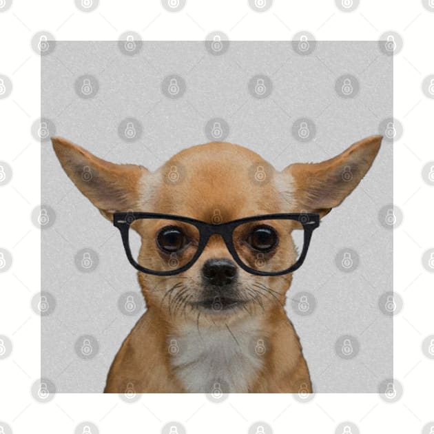 Portrait of Chihuahua with Nerd Glasses by luigitarini