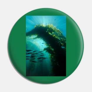 Sunrays In a Kelp Forest Pin