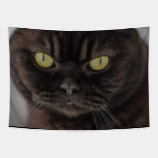 British Shorthair Green Eyes Tapestry