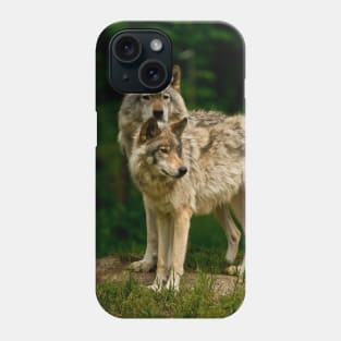 Gray Wolf Phone Case