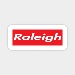 RALEIGH SUPER USA LOGO Magnet