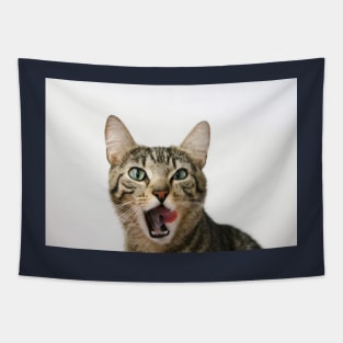 Tilly Tabby Tongue Twister Tapestry