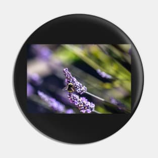 Bee on lavender Pin