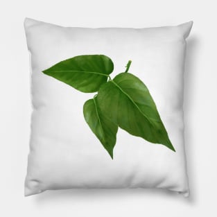 Pothos Jade Leaf Pillow