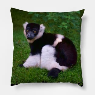 Black & White Ruffled Lemur Pillow