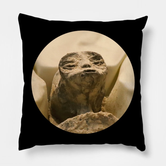 Mexican Alien Corpse Pillow by Sanworld