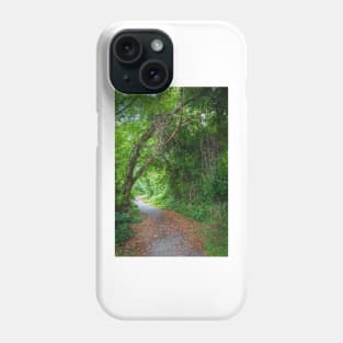 Natural Woodlands Arch Phone Case