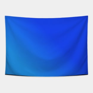 Blue Gradient Color Tapestry