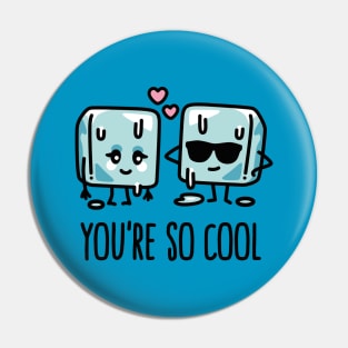 You're so cool Cube ice Cute Valentine's day pun Pin