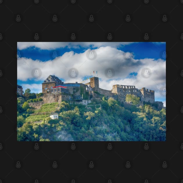 Castle Along the Rhine Gorge by Imagery