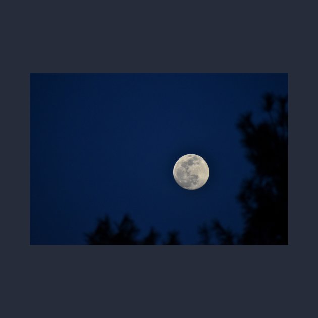 Bordered Full Moon by A Thousand Words Photography