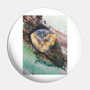 Peeping Owl Pin