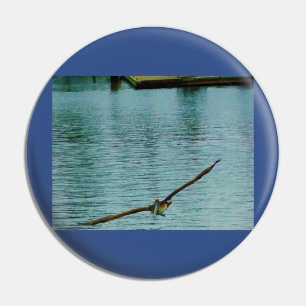 Pelican in flight Pin by FriendlyComputerHelp