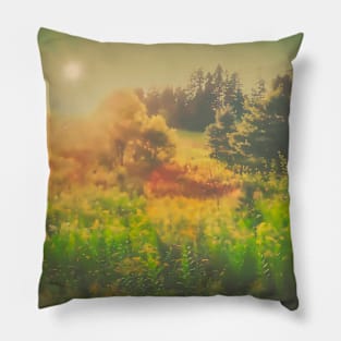 FieldsSunlight Painting Pillow