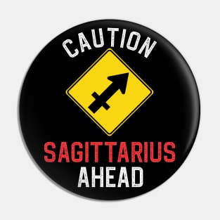 Funny Zodiac Horoscope Sagittarius Road Sign Traffic Signal Pin