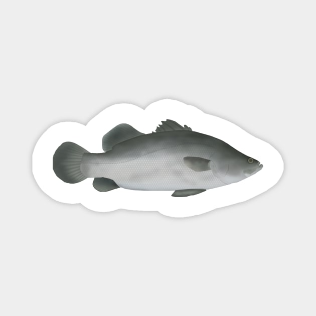 Barramundi Magnet by FishFolkArt