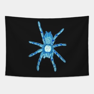 Tarantula Only “Vaporwave” V7 Tapestry