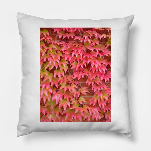 Autumn Pillow by Chris Petty