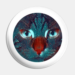 Affectionate mycat, revolution for cats Pin