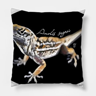 Brown anole with scientific name Pillow