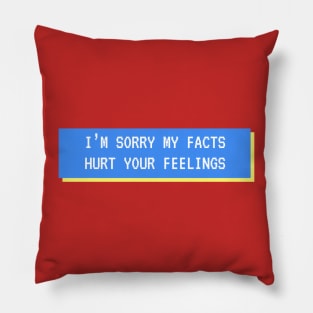 Sorry My Facts Hurt You Pillow