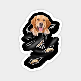 Golden Retriever Face Mask Magnet