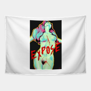 Exposé / House on Straw Hill / Trauma 1976 Movie Art Tapestry