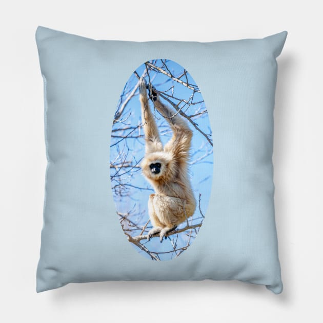 Just Hanging around Gibbon Pillow by dalyndigaital2@gmail.com