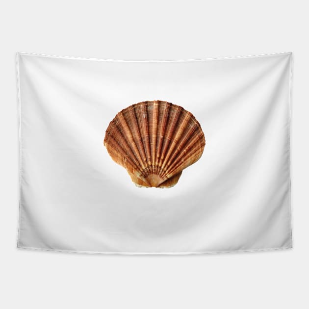 Clam Pocket Tapestry by bluerockproducts