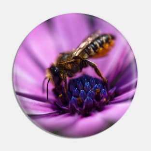 Bee on a Purple Daisy Pin