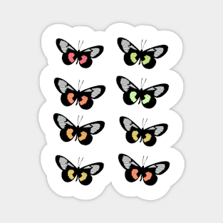 Butterfly Set Magnet