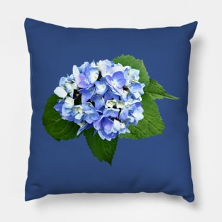 Hydrangeas - Blue and Purple Hydrangea Pillow