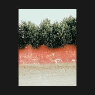 Olive Trees Behind Red Wall T-Shirt