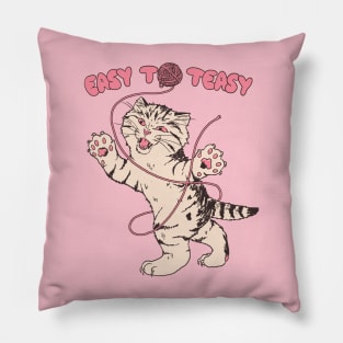 Easy To Teasy Pillow