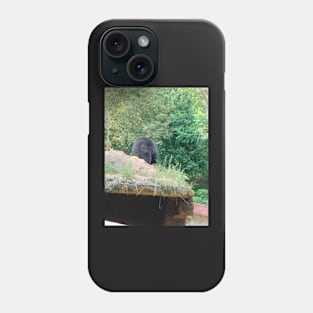 Bear Phone Case