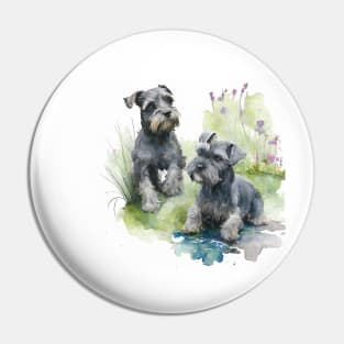 Two Black Miniature Schnauzers Playing Watercolour Painting Pin