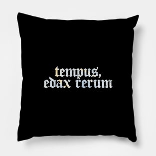 Tempus, Edax Rerum - Time, That Devours Everything Pillow