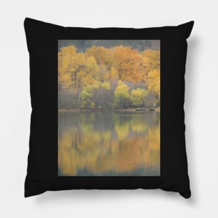 Fall Pastel Colours Pillow