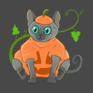 Pumpkin Cat T-Shirt