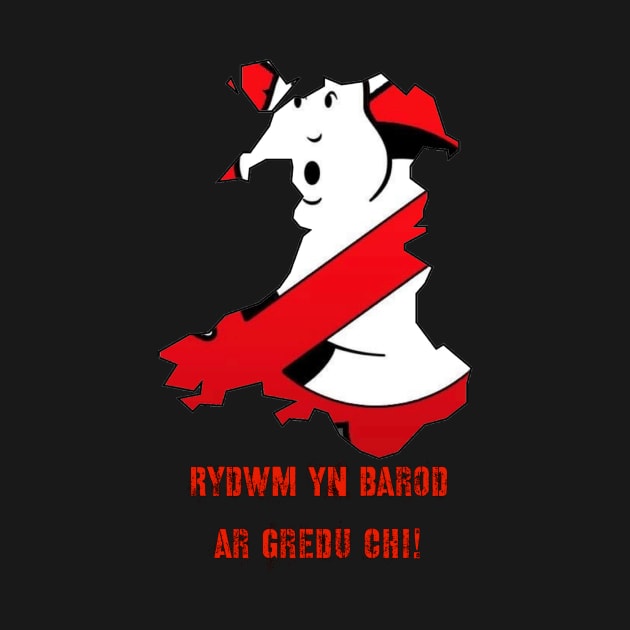 Ready to Believe by Welsh Ghostbusters 