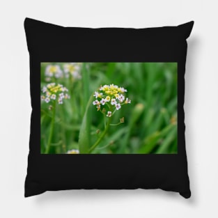 Summer flower Pillow